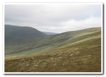 Trenearla Blackface Sheep